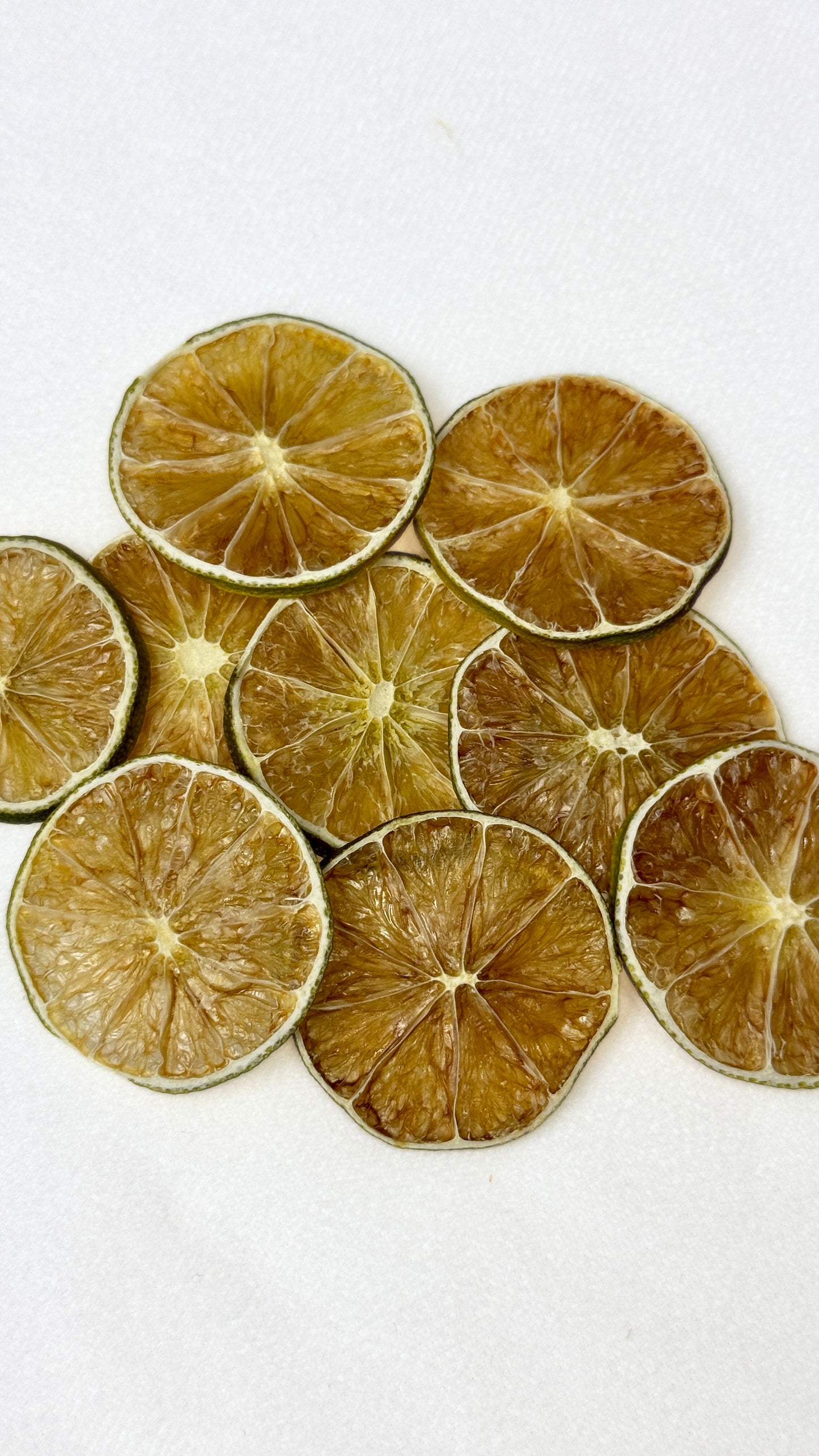 Seedless Dehydrated Citrus Garnish