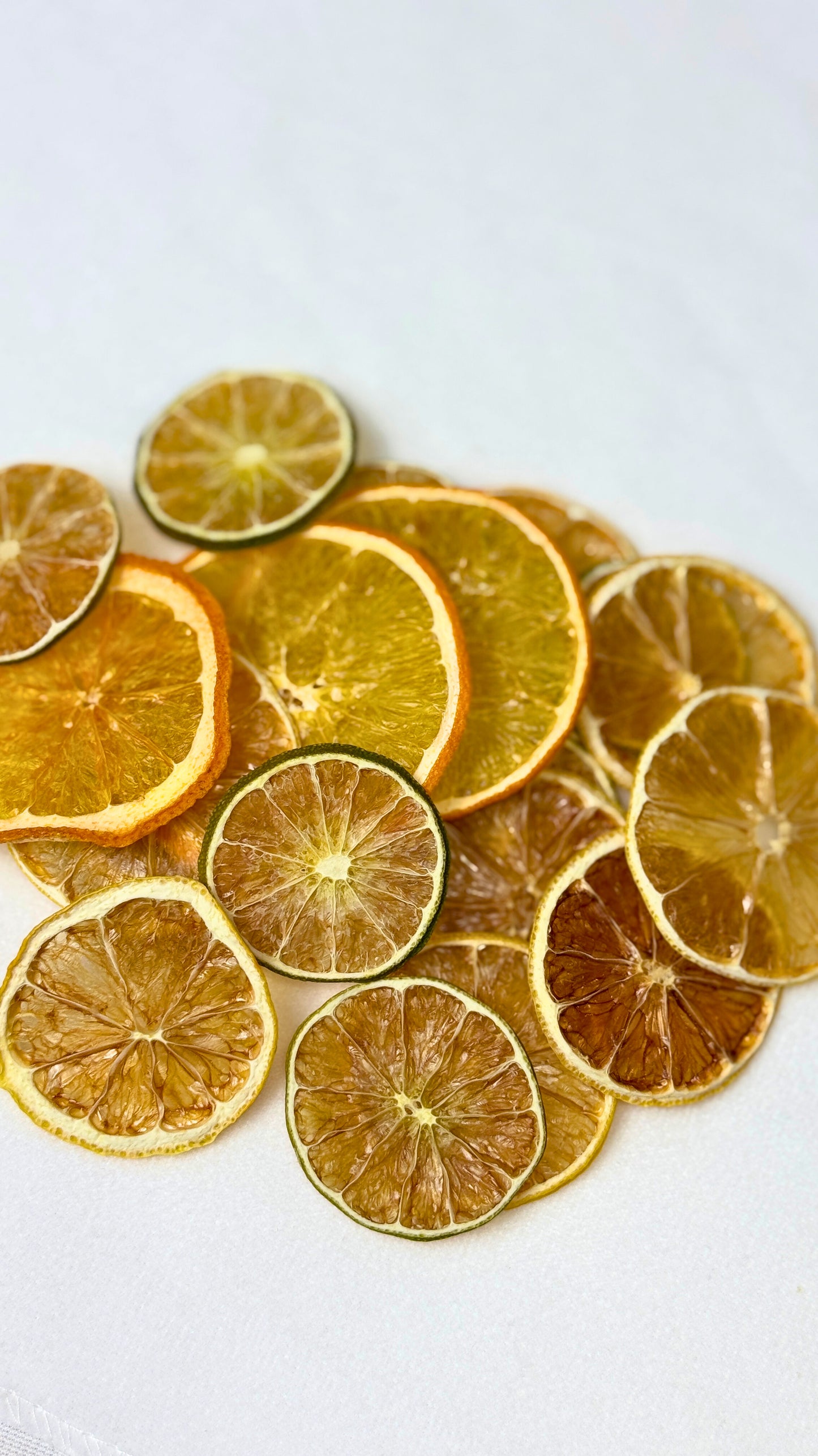 Seedless Dehydrated Citrus Garnish